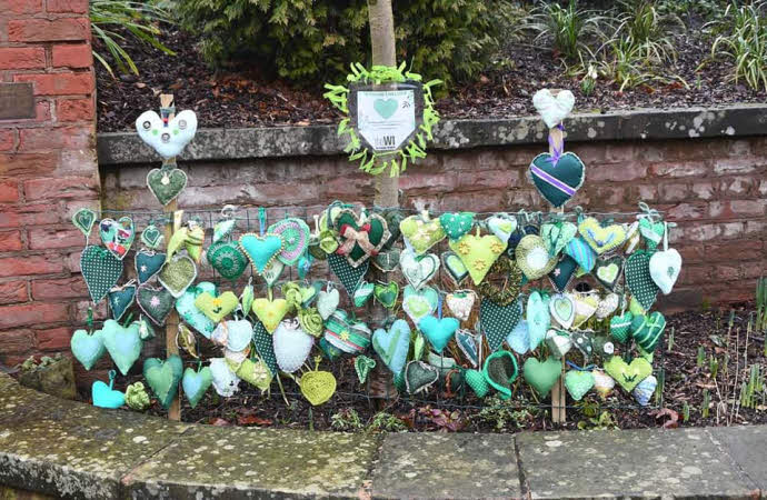 February: a display of SFWI members' handmade 'show the love' green hearts. 